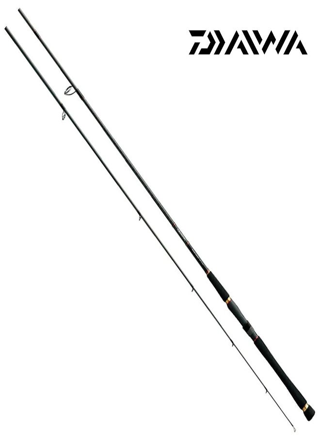 DAIWA by ADVENTURE HQ 2 Pc Seabass Hunter X 100Mh