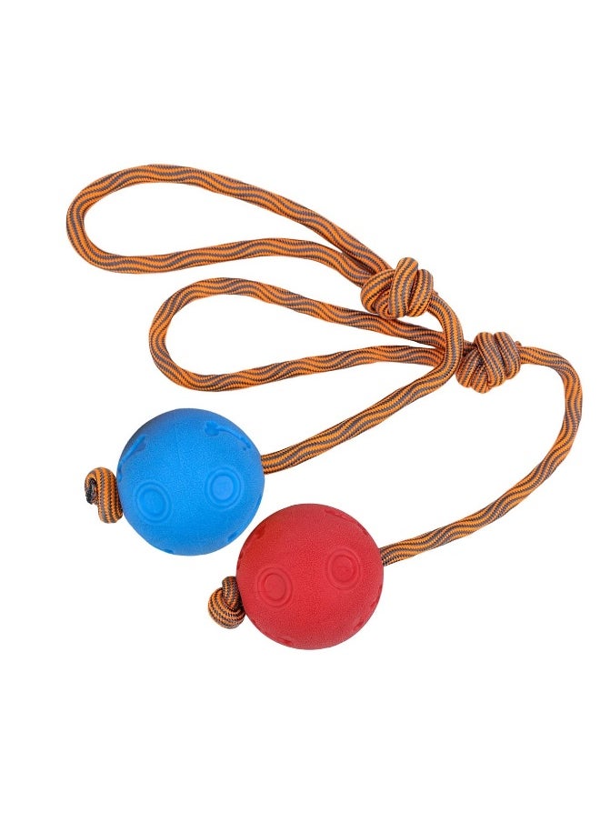 Rope Dog Toy, 2 Pack Ball on a Rope Dog Toys Indestructible Elastic Solid Rubber Balls for Fetch Catch Ball on a Rope Dog Toy Natural Elastic Solid Rubber Dogs Balls Chew Toys (6 cm Blue + Red)