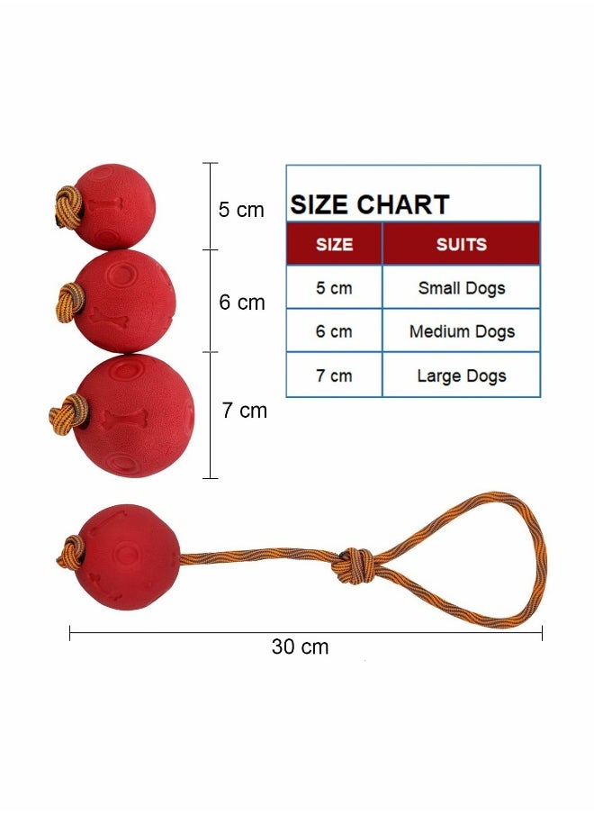 Rope Dog Toy, 2 Pack Ball on a Rope Dog Toys Indestructible Elastic Solid Rubber Balls for Fetch Catch Ball on a Rope Dog Toy Natural Elastic Solid Rubber Dogs Balls Chew Toys (6 cm Blue + Red)