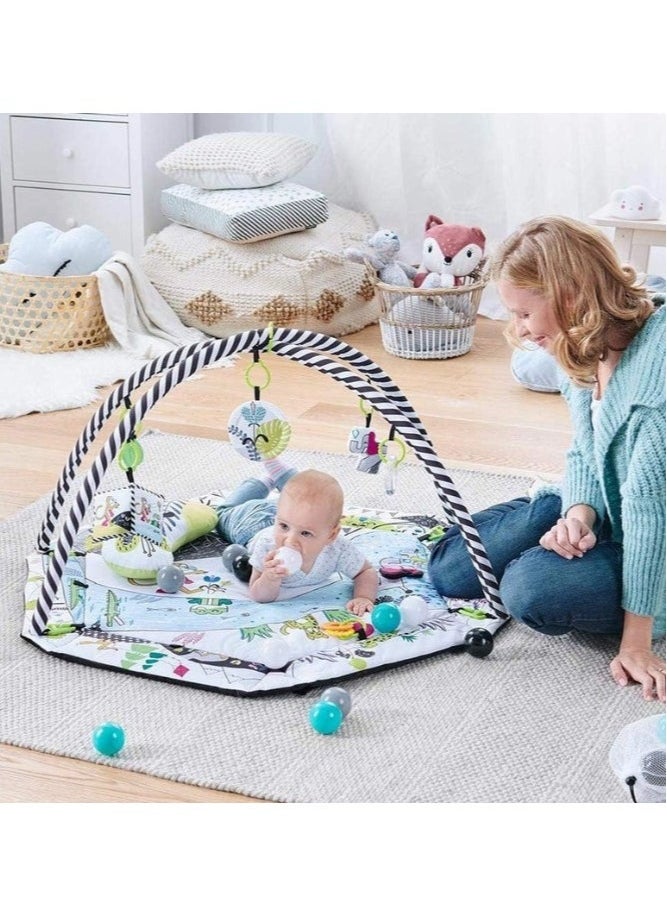 2-in-1 Baby Playmat & Playpen | Educational & Safe | Newborn & Up | Includes Foam Play Arch & Colorful Balls