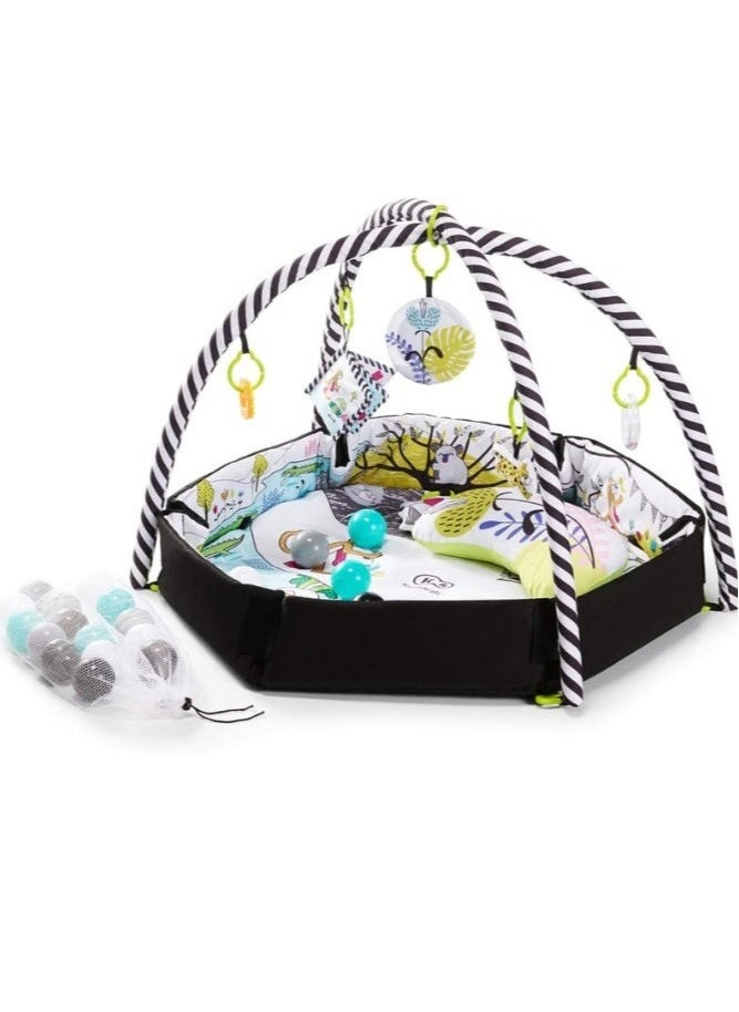 2-in-1 Baby Playmat & Playpen | Educational & Safe | Newborn & Up | Includes Foam Play Arch & Colorful Balls