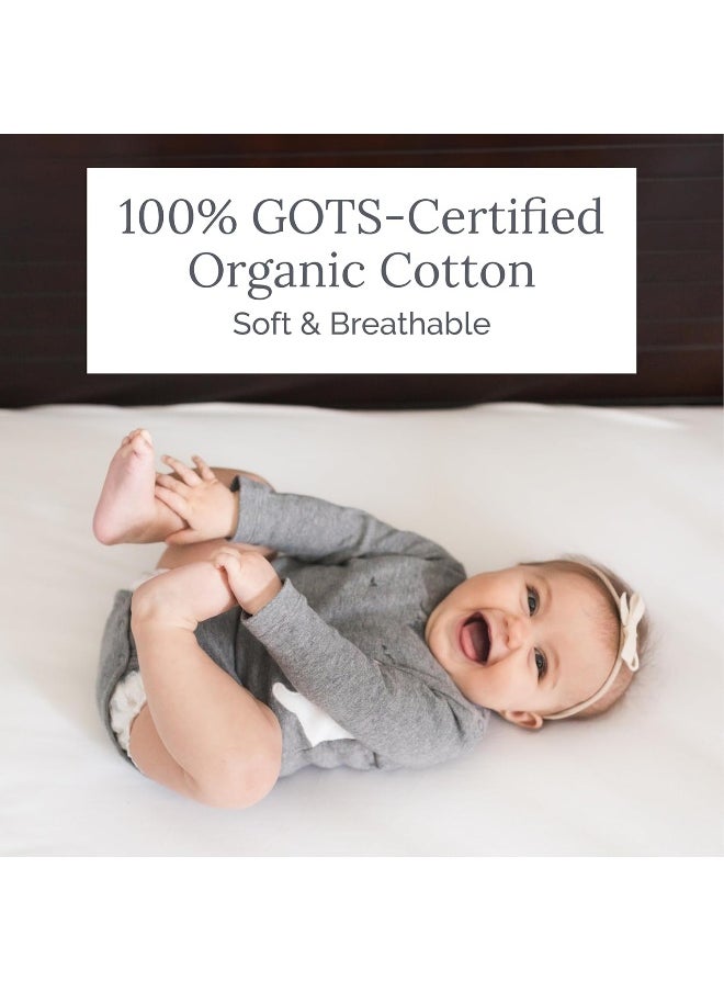 Natemia Fitted Crib Sheet - 100% Organic Cotton - 28 X 52 for Standard Crib and Toddler Mattresses - Silky Soft and Hypoallergenic - Sage
