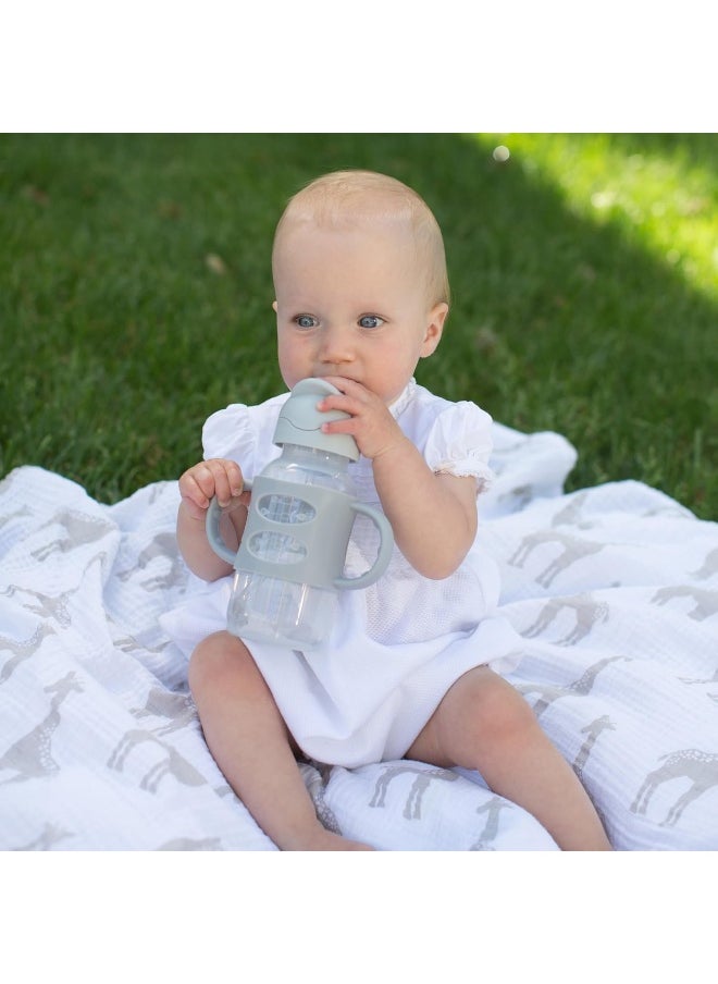 Dr. Brown's Milestones™ Wide-Neck Sippy Straw Bottle with 100% Silicone Handles, 9oz/270mL, Gray, 1 Pack, 6m+