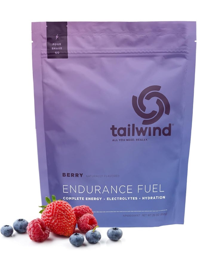 Endurance Fuel, Electrolyte & Hydration Sports Drink Mix Powder, Gluten-Free, Vegan, Berry, 30 Servings