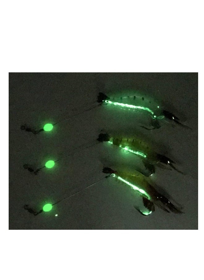 10 pcs Soft Luminous Shrimp Lure Set, Premium Soft Shrimp Fishing Tackle with Luminous Sharp Hooks, for Freshwater Saltwater Bass Trout Catfish Salmon