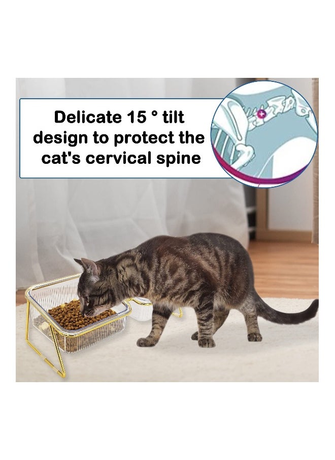 Elevated Double Cat Bowls, Pets Water and Food Transparent Bowl 15°Tilted Raised Pet Feeder Stand, with 2 Large Plastic Bowl and Iron Stand Anti Slip, Perfect for Kittiens Small Dogs