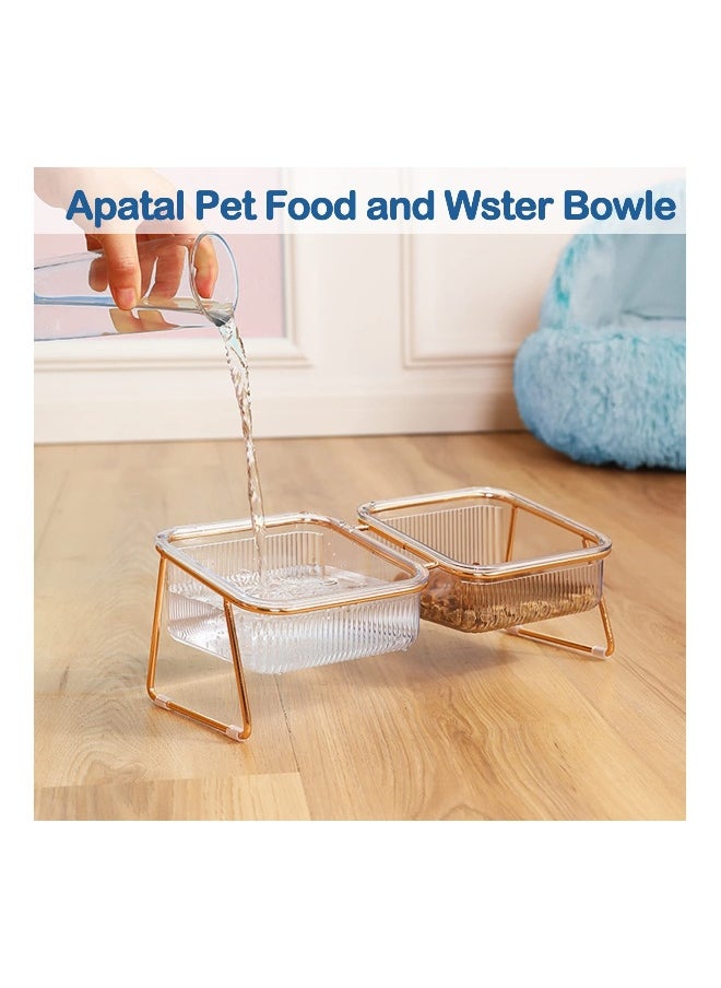 Elevated Double Cat Bowls, Pets Water and Food Transparent Bowl 15°Tilted Raised Pet Feeder Stand, with 2 Large Plastic Bowl and Iron Stand Anti Slip, Perfect for Kittiens Small Dogs