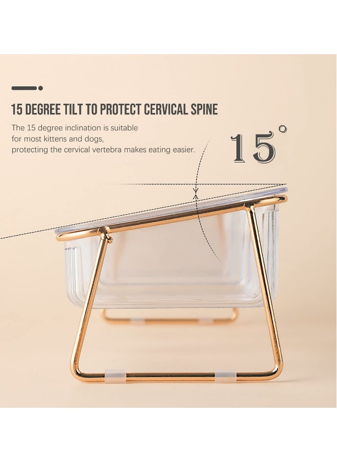 Elevated Double Cat Bowls, Pets Water and Food Transparent Bowl 15°Tilted Raised Pet Feeder Stand, with 2 Large Plastic Bowl and Iron Stand Anti Slip, Perfect for Kittiens Small Dogs