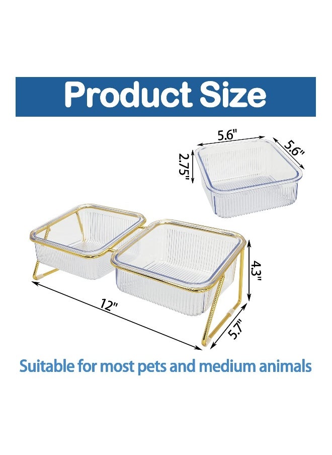 Elevated Double Cat Bowls, Pets Water and Food Transparent Bowl 15°Tilted Raised Pet Feeder Stand, with 2 Large Plastic Bowl and Iron Stand Anti Slip, Perfect for Kittiens Small Dogs
