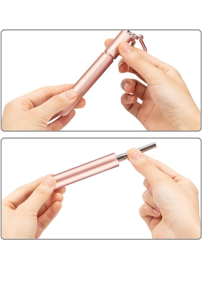 Reusable Telescopic Metal Straws, 3 Pack Stainless Steel Collapsible Drinking Straw, Portable Pocket Drinking Straws for Travel, with Cleaning Brush & Carabiner (Rose, Black, Silver)