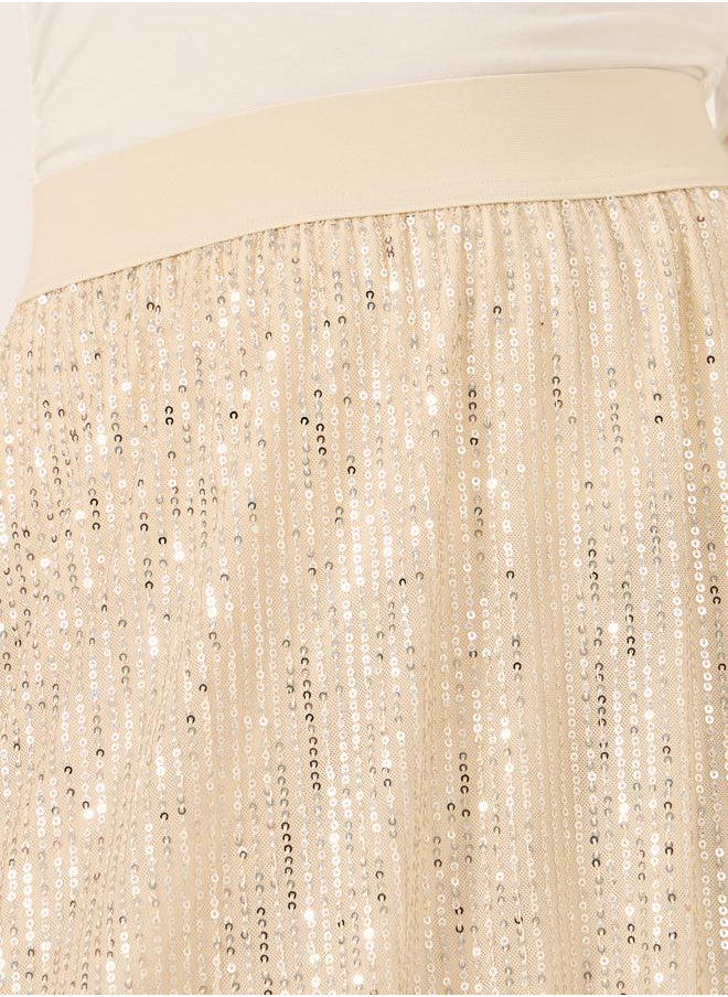 Sequin Embellished A-Line Midi Skirt