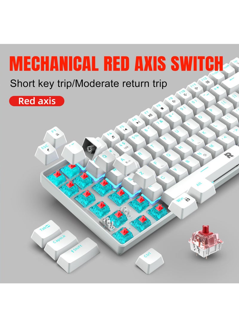 ROCK POW 84 Keys 70% Mechanical Gaming Keyboard Ice  Blue Backlit Ultra-Compact Mini Compact Keyboard for PC/Mac Gamer Typist Easy Carry on Trip Red Switch