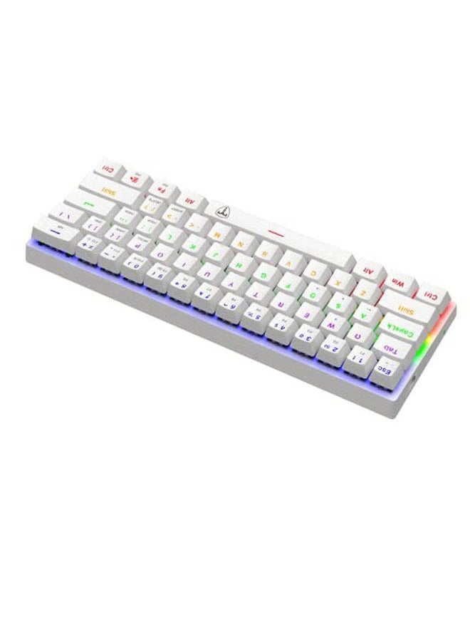 61 keys RGB Backlit Wired Mechanical Gaming Keyboard, Mini Keyboard, Waterproof for PC/Mac Gamer