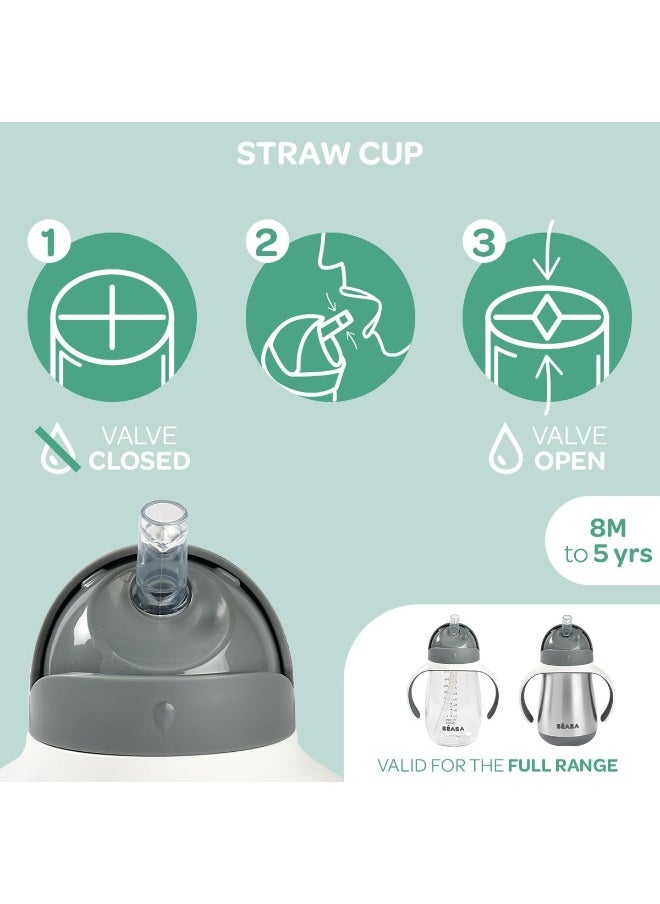 Béaba Straw Sippy Cup, Sippy Cup with Removable Handles, Sippy Cup with Straw, Baby Straw Cup, Toddler Cup for Toddlers 1-3 Years, Toddler Straw Cups, 8+ months, 10 oz, Rose