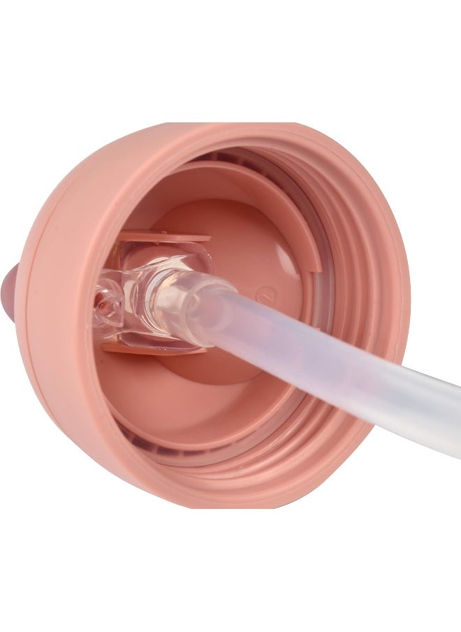 Béaba Straw Sippy Cup, Sippy Cup with Removable Handles, Sippy Cup with Straw, Baby Straw Cup, Toddler Cup for Toddlers 1-3 Years, Toddler Straw Cups, 8+ months, 10 oz, Rose