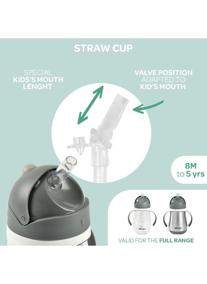 Béaba Straw Sippy Cup, Sippy Cup with Removable Handles, Sippy Cup with Straw, Baby Straw Cup, Toddler Cup for Toddlers 1-3 Years, Toddler Straw Cups, 8+ months, 10 oz, Rose