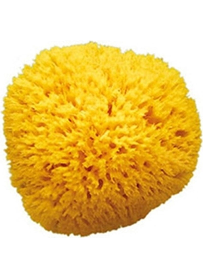 Natural Bath Sponge / Small
