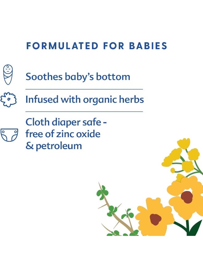 Motherlove - Diaper Balm, Antifungal & Antibacterial Herbs, Soothes Baby’s Irritated Bottom, Cloth Diaper Safe Ointment, Free of Zinc Oxide & Petroleum, Formerly Known as Diaper Rash & Thrush, 1 oz.
