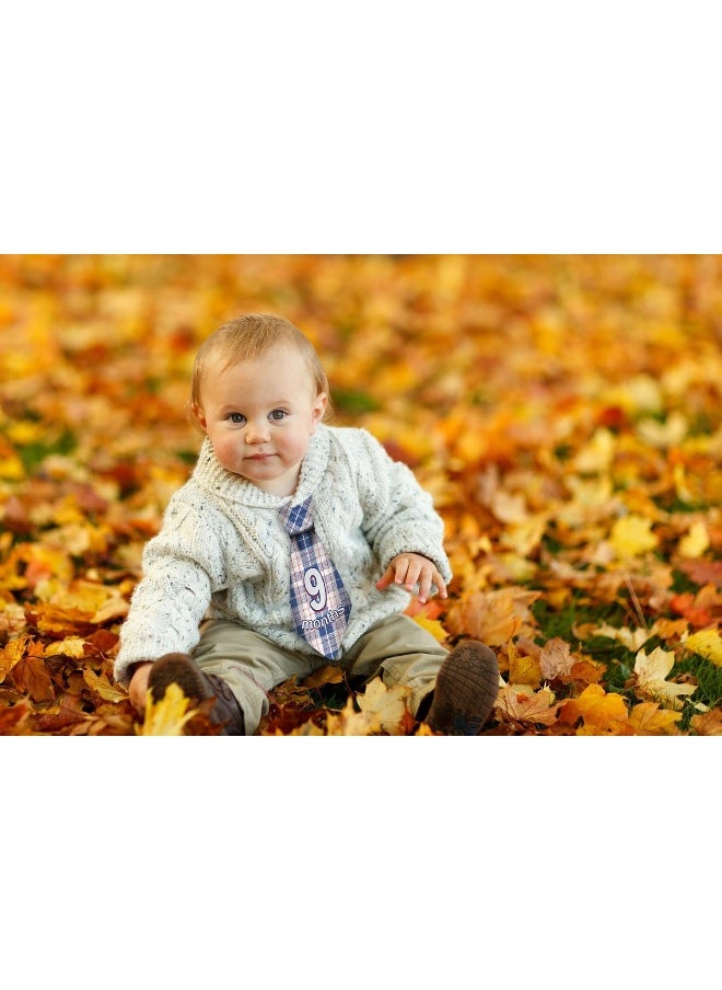 TurtleSurfers Baby Monthly and Holiday Milestone Sticker Ties