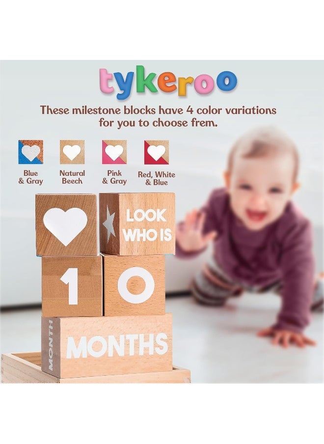 Baby Monthly Milestone Blocks — Cute Nursery Decor — Lovely Newborn Photography Props — Baby Shower Gifts