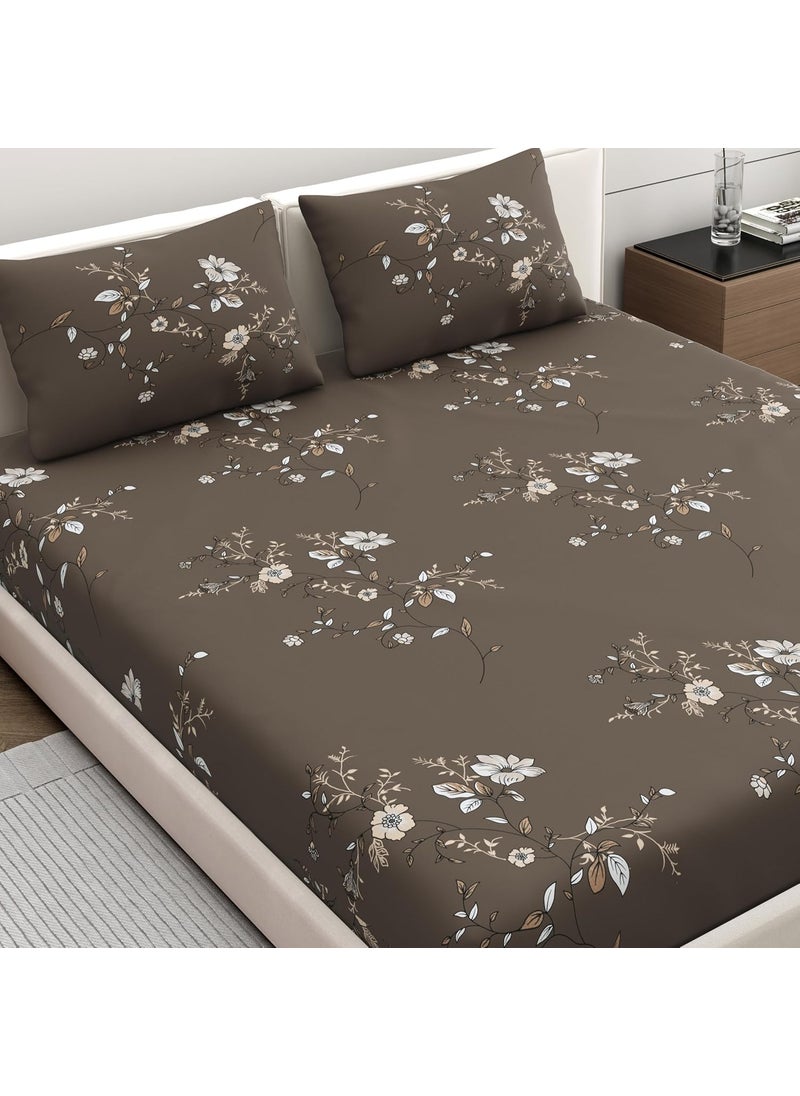 Dreamscape Microfiber Wrinkle Fade Resistant Double Bedsheet with 2 Pillow Covers Size 87 x 98 inches 140TC Colour Dk Brown
