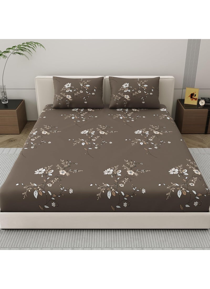 Dreamscape Microfiber Wrinkle Fade Resistant Double Bedsheet with 2 Pillow Covers Size 87 x 98 inches 140TC Colour Dk Brown