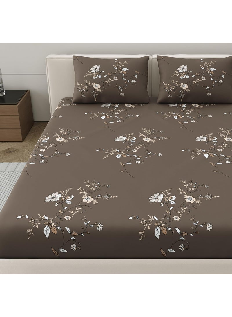 Dreamscape Microfiber Wrinkle Fade Resistant Double Bedsheet with 2 Pillow Covers Size 87 x 98 inches 140TC Colour Dk Brown