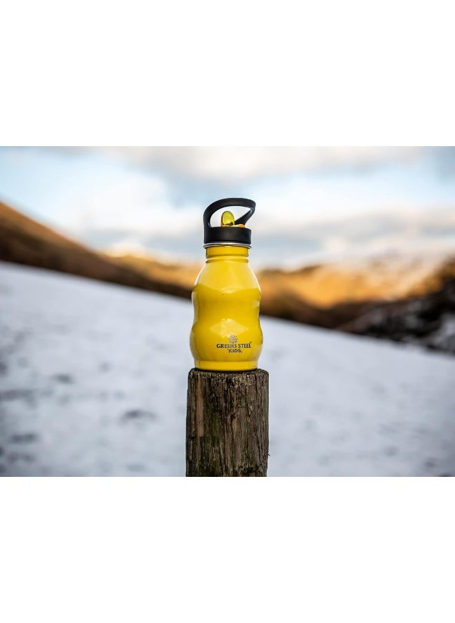 Greens Steel Kids Stainless Water Bottle - Leak Proof with Flip Top Sports Cap & Straw - Toddler Child Friendly Cup
