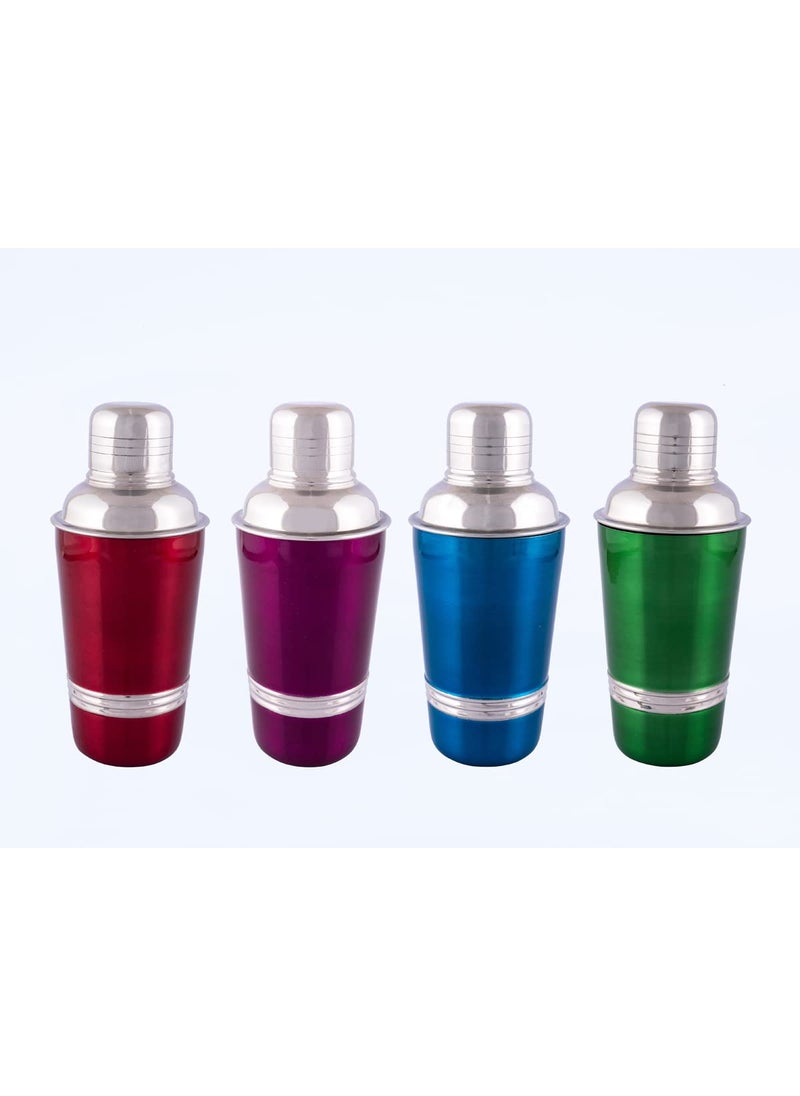Set of 4 Cocktail Shakers Mini Shakers for Different Cocktails Bar Set