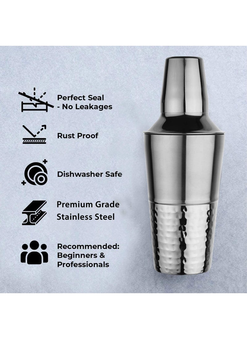 Steren Stainless Steel Cocktail Shaker with Peg Measurer Half Hammered