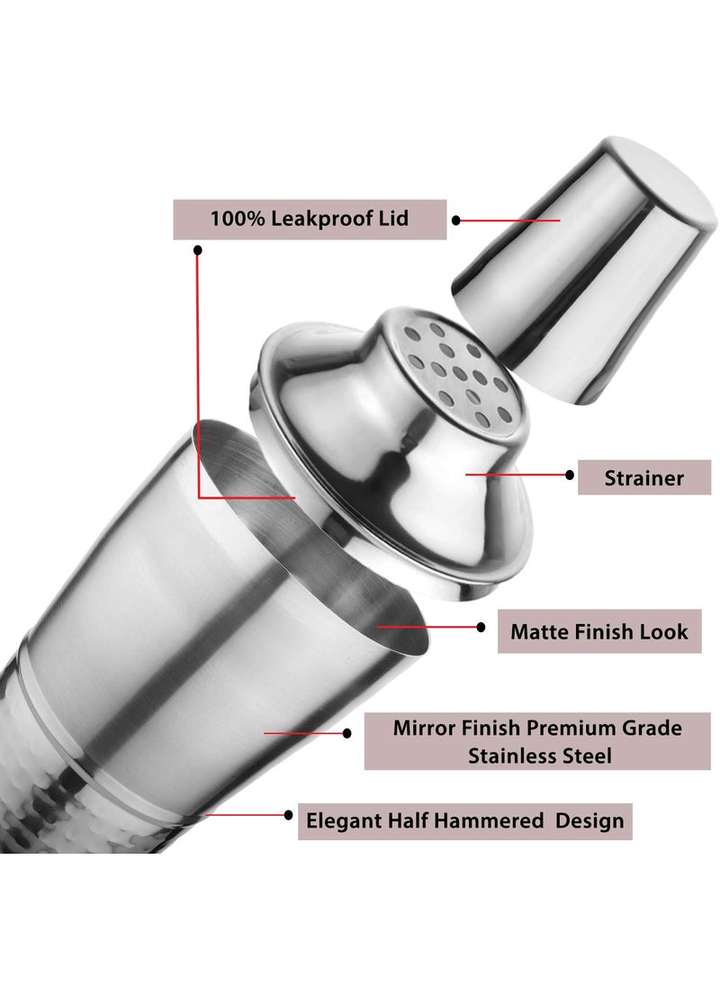 Steren Stainless Steel Cocktail Shaker with Peg Measurer Half Hammered
