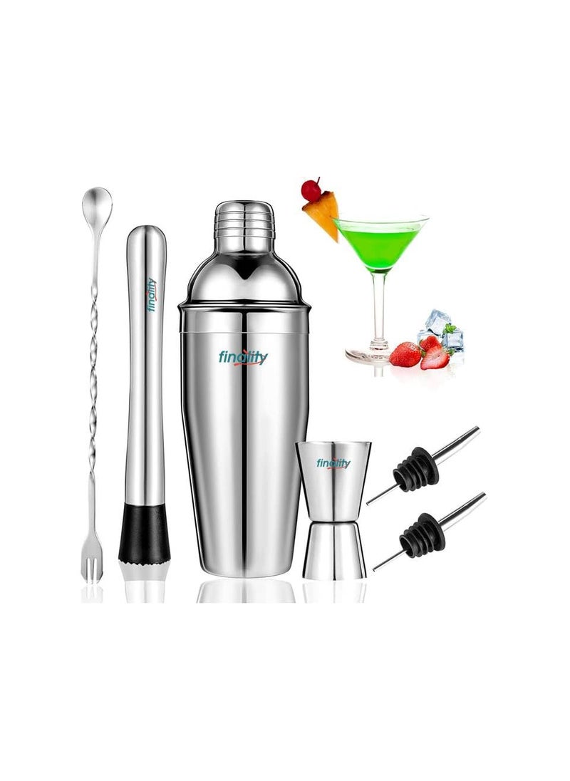 finality Cocktail Shaker SetMartini Mixer Shaker 6 PCS Stainless Steel Shaker Bartending Bar Shaker Measuring Jigger Mixing Spoon Muddler Pourers Professional Bar Tools for Martini Kit 500 ml