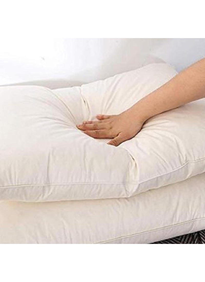 SNOWFEEL 17x27 Luxurious Plush Pillow Set of 2 Ultra Soft and Supportive Cushion for Bedroom Living Room Chair and Office Hypoallergenic and Breathable Fabric Sleep Positions