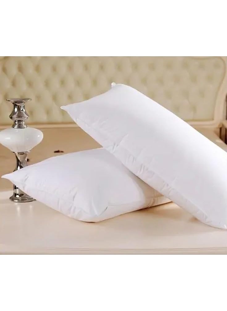 SNOWFEEL 17x27 Luxurious Plush Pillow Set of 2 Ultra Soft and Supportive Cushion for Bedroom Living Room Chair and Office Hypoallergenic and Breathable Fabric Sleep Positions