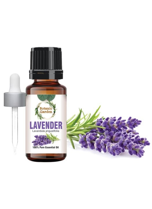 Botanic Garden Lavender Essential Oil 100 Pure Therapeutic Grade Steam Distilled Promotes Peaceful Sleep RelaxationTension Relief Headaches for Diffuser Topical Use with Dropper 100ML