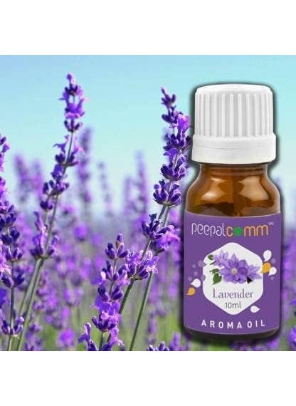 Peepalcomm Matki Shaped Electric Aroma Oil Diffuser Black 2 High Scented Lavender Essential Oils 10ml Each Brown