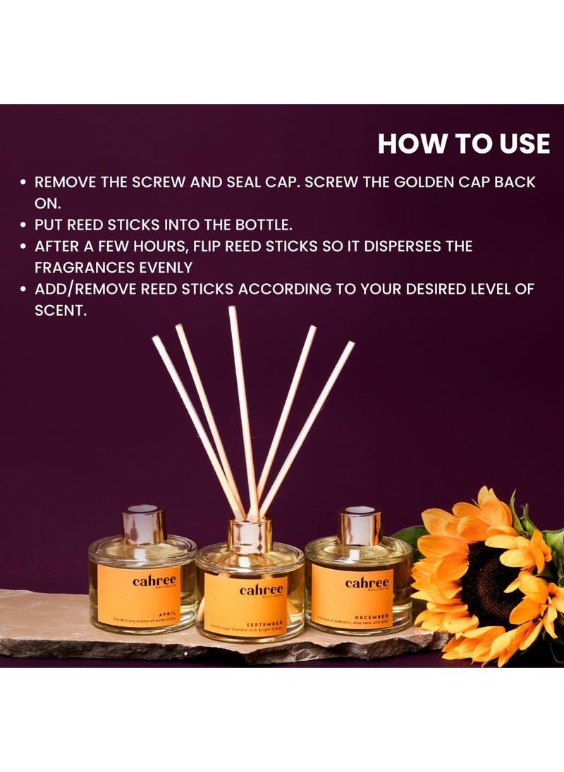 Cahree Wellness Daffodil Kiwi Reed Diffuser SetFree 5 Bamboo Reed SticksToxin Free Stress ReliefFineLiving Natural FragranceLong LastingSmoke Less Room Freshener for Home Bedroom150ml