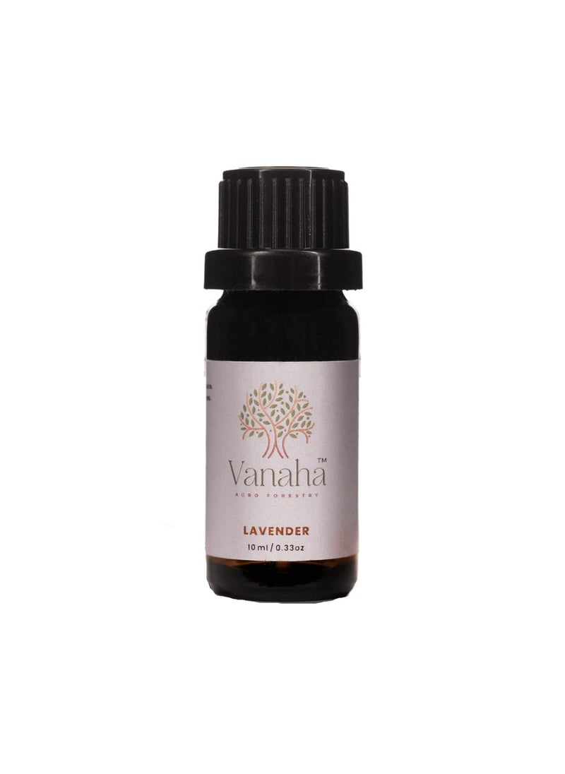 Lavender Essential Oil 10ML