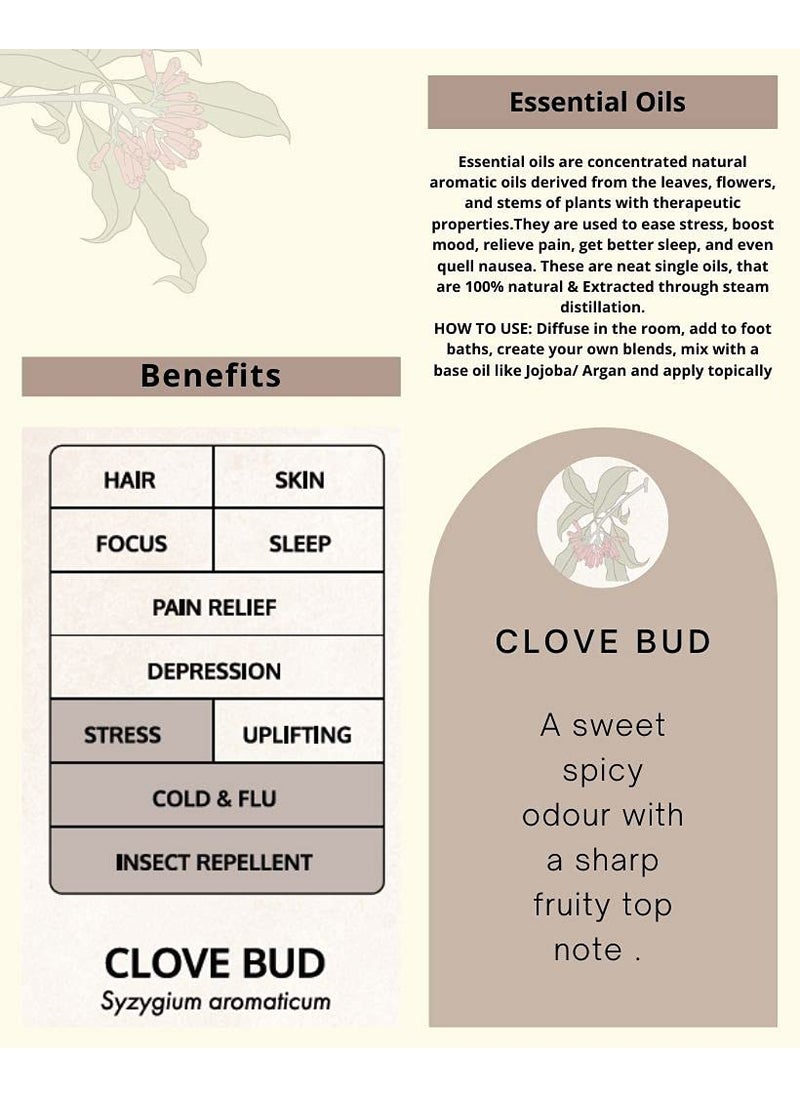 Satianu Pure Natural Clove Bud Therapeutic Essential Oil for Aromatherapy Hair Skin Care Helps in Toothaches Cold Pain Relieves Stress Helps in Sleep 10 ML