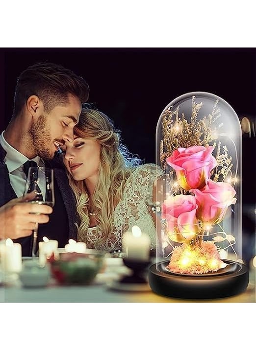 PARYAVARAN Rose Flower Gifts for WomenBirthday WomenColorful Rainbow Artificial Light Up in Acrylic Dome