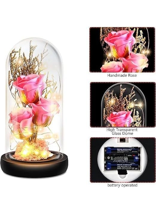 PARYAVARAN Rose Flower Gifts for WomenBirthday WomenColorful Rainbow Artificial Light Up in Acrylic Dome