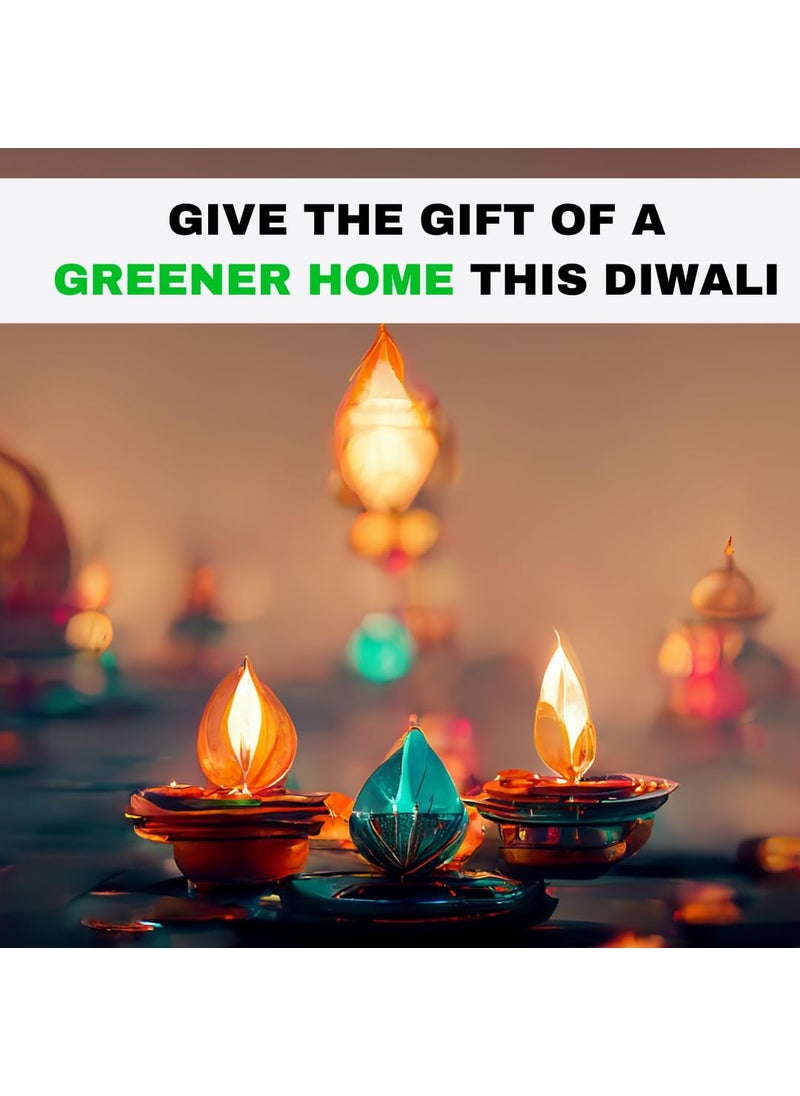 Beegreen Aroma Delight Diwali Gift Hamper Kit of 3 Natural Scents Eco Friendly Gift Corporate Gifts Green Healthy Gift Diwali Gift Hamper Premium Diwali Gift Box Diwali Gift