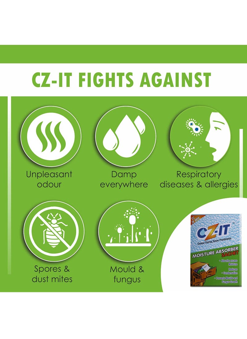 CZIT Moisture Absorber Sachets 100g Pack of 6 GREEN CZ46