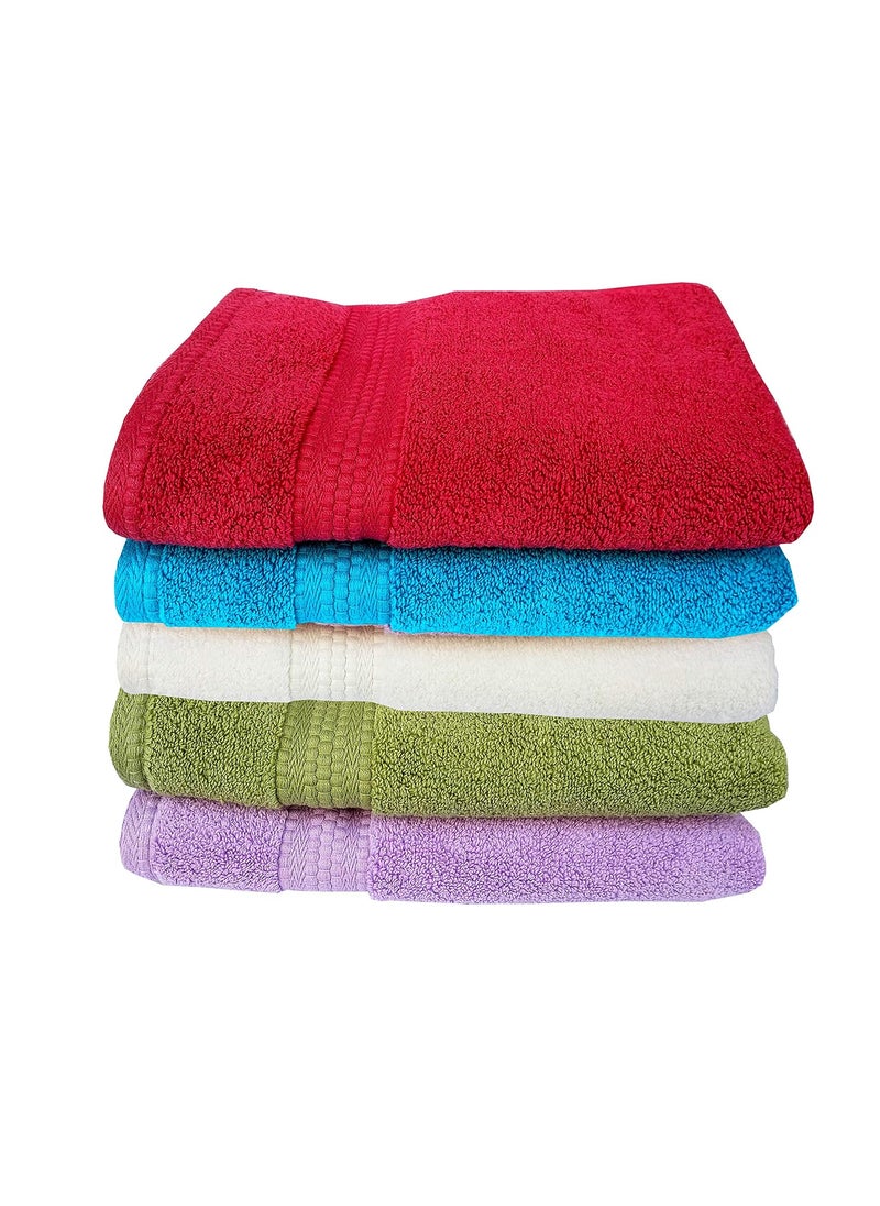 Space Fly Attractive 2 Hand Towels Zero Twist Ultra Soft and Cotton Big Size 16X24 Inch_Multi Color