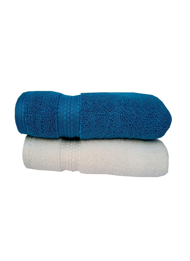 Space Fly Attractive 2 Hand Towels Zero Twist Ultra Soft and Cotton Big Size 16X24 Inch_Multi Color