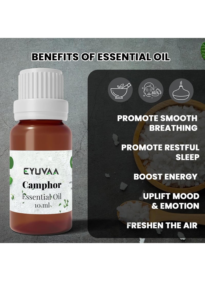 DECOVAA Aroma Electric Diffuser for Home Fragrance Aromatherapy Ceramic Diffuser Set Aroma Oil Diffuser Wax Burner Wax Warmer for Home Fragrance with 10 ml Aroma Oil Camphor Fragrance