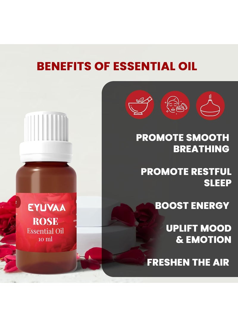 DECOVAA RoundShaped Electric Aroma Diffuser for Home Fragrance Aroma Burner for Aromatherapy Aroma Oil Burner Home Decor and Fragrance with 10ml Aroma Oils Rose Fragrance