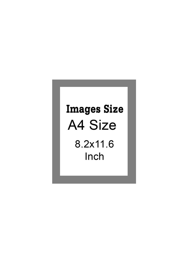 KDM Home Decor A4 Size Certificate and Document Frames 82 x 116 inches made of flexible glass and synthetic wood in natural wood color with a 05inch stick pack of 12 office certificate photo frames