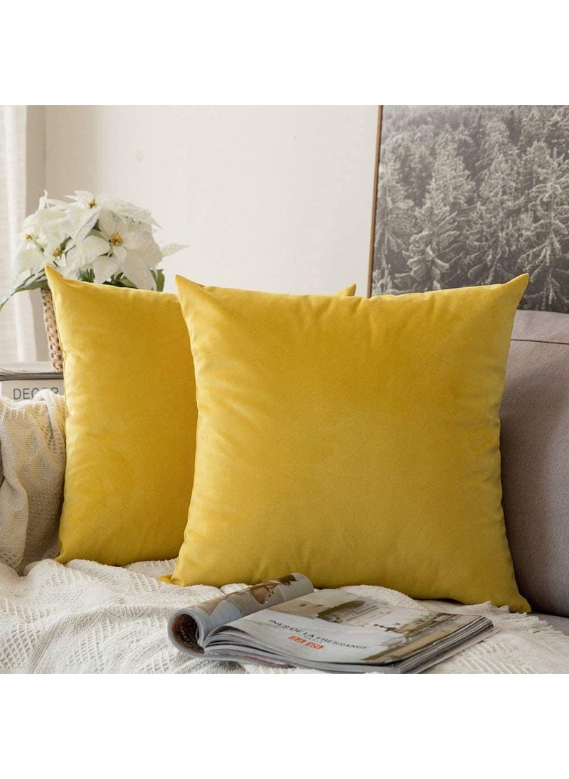 Linen Basics Decorative Holland Velvet Cushion Square Pillow Covers Pillowcases for Sofa Bedroom with Invisible Zipper Yellow Set of 7 Piece 16X16 Inches