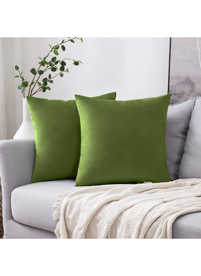 Linen Basics Decorative Holland Velvet Cushion Square Pillow Covers Pillowcases for Sofa Bedroom with Invisible Zipper Light Green Set of 5 Piece 16X16 Inches